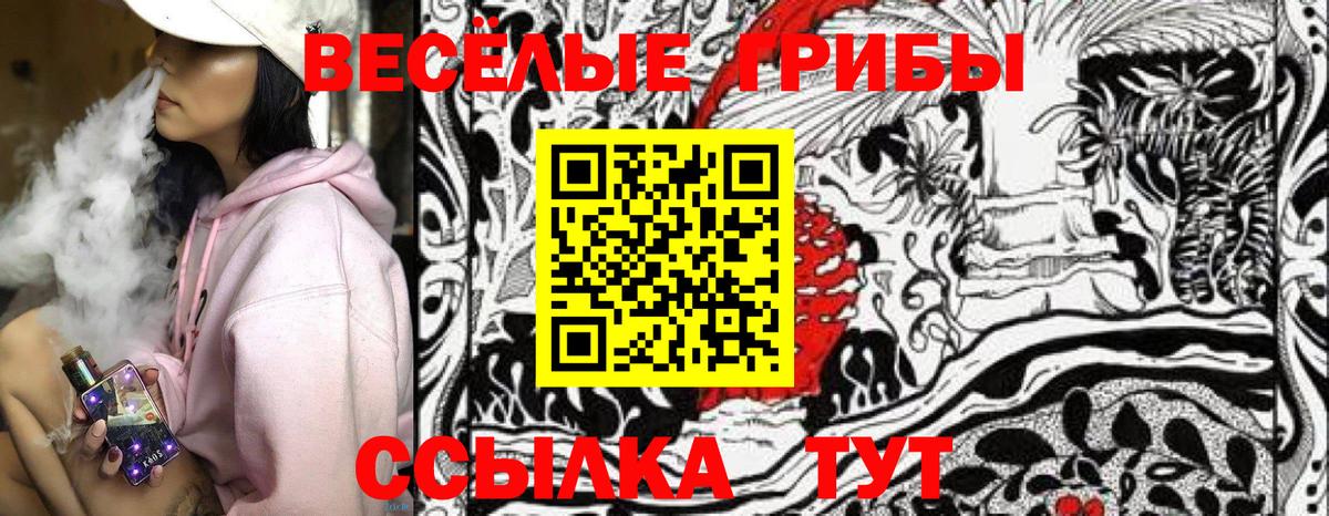 Галлюциногенные грибы Cubensis Курчатов