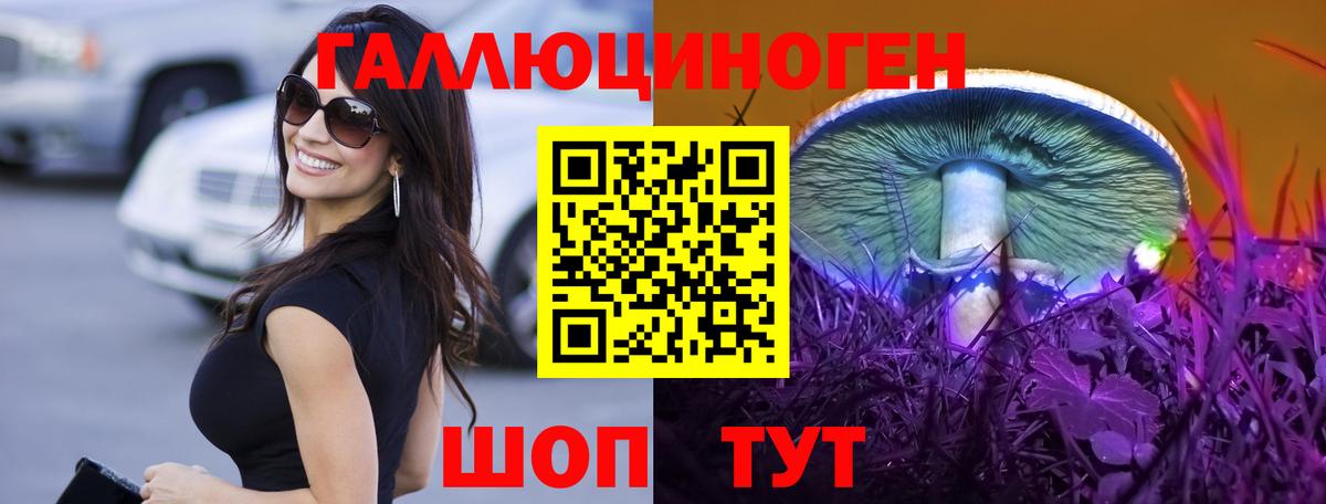 цена наркотик  Вход с VPN  Курчатов  Псилоцибиновые грибы Cubensis  Псилоцибиновые грибы MAGIC MUSHROOMS 