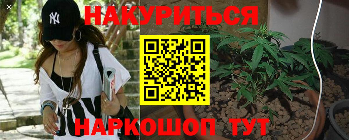 Курчатов  Шишки марихуана Bruce Banner  Вход с VPN  МАРИХУАНА Amnesia  Марихуана Bruce Banner 